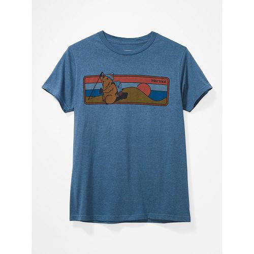 Marmot Hiking Marty Clothes - Mens T-Shirts Blue Grey CA4706812 Canada